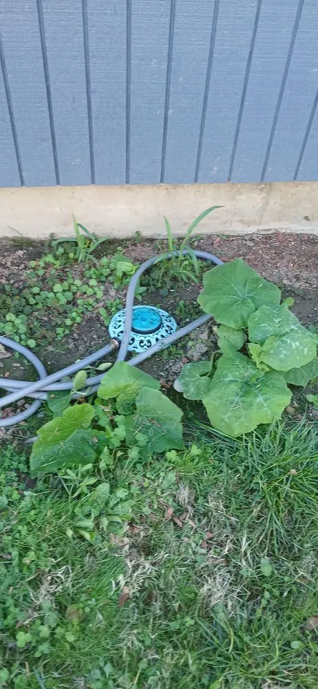 Expert lawn mowing service in Cornelius, OR - Go-Green Oregon Landscape Maintenance