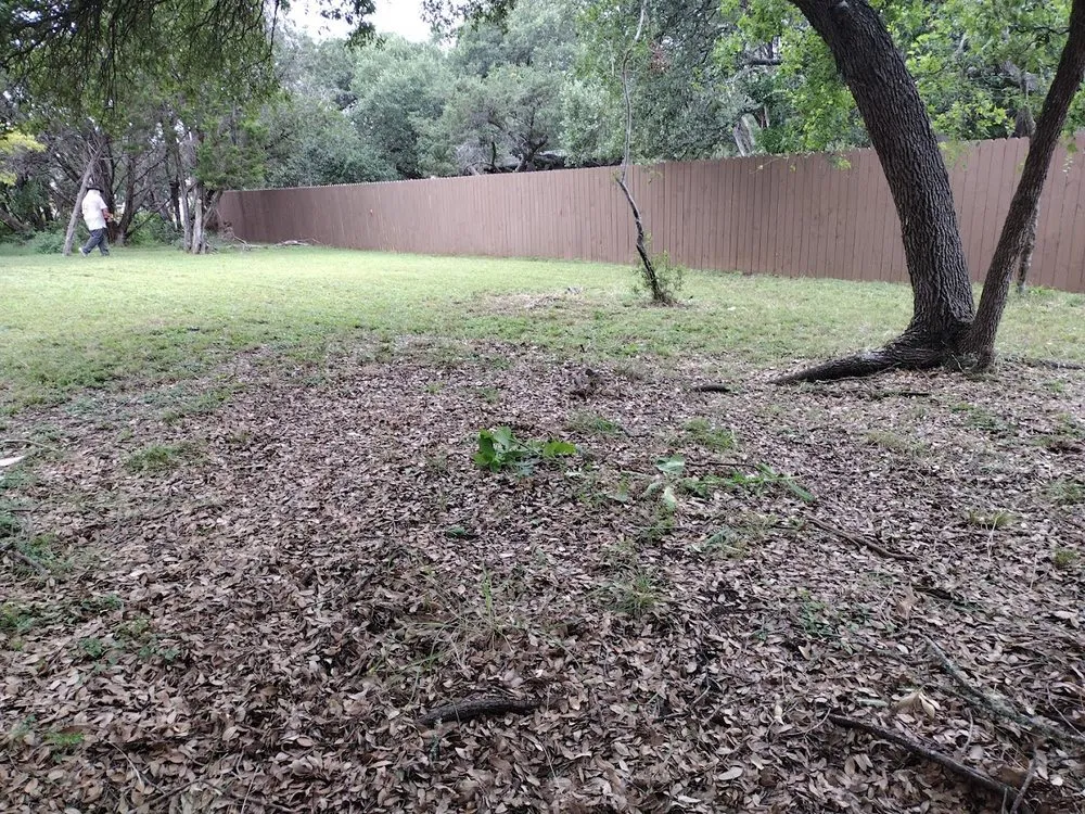 Expert lawn care service experts serving New Braunfels, TX - Go Green Yard Care