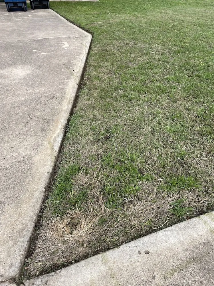 Reliable landscape installation in New Braunfels, TX by Go Green Yard Care