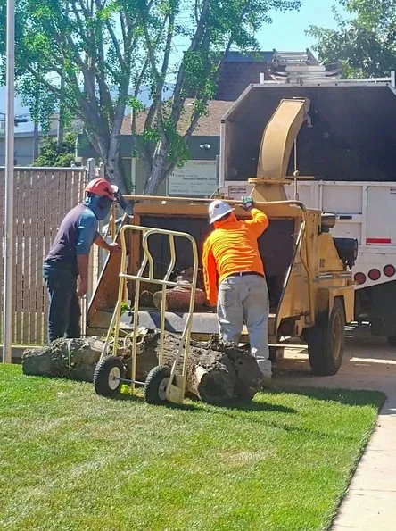 Local residential landscaping with custom design across Sunnyvale, CA - Go Green Yard
