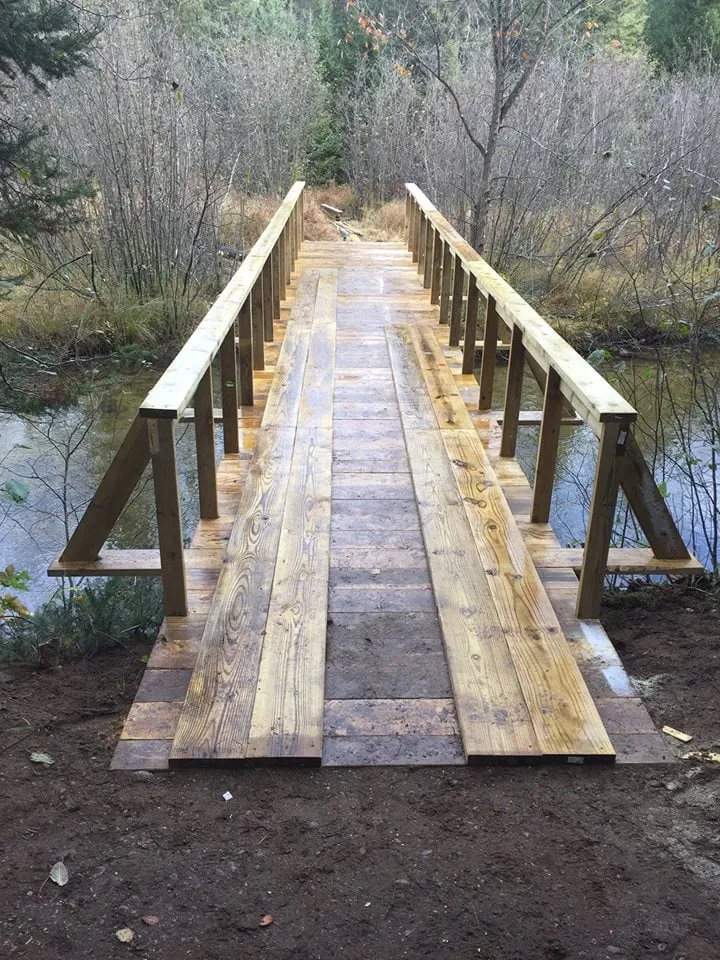 Trusted outdoor landscaping in Lansing, MI - Go Greener