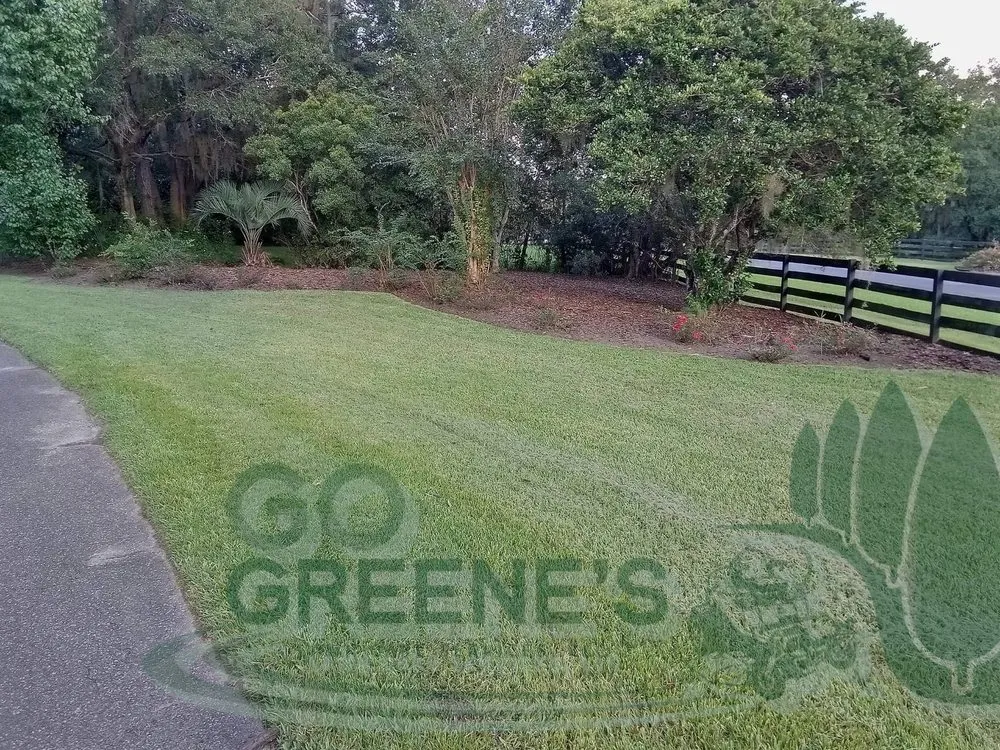 Professional landscape installation in Gainesville, FL - Go Greene's Lawn Care Services