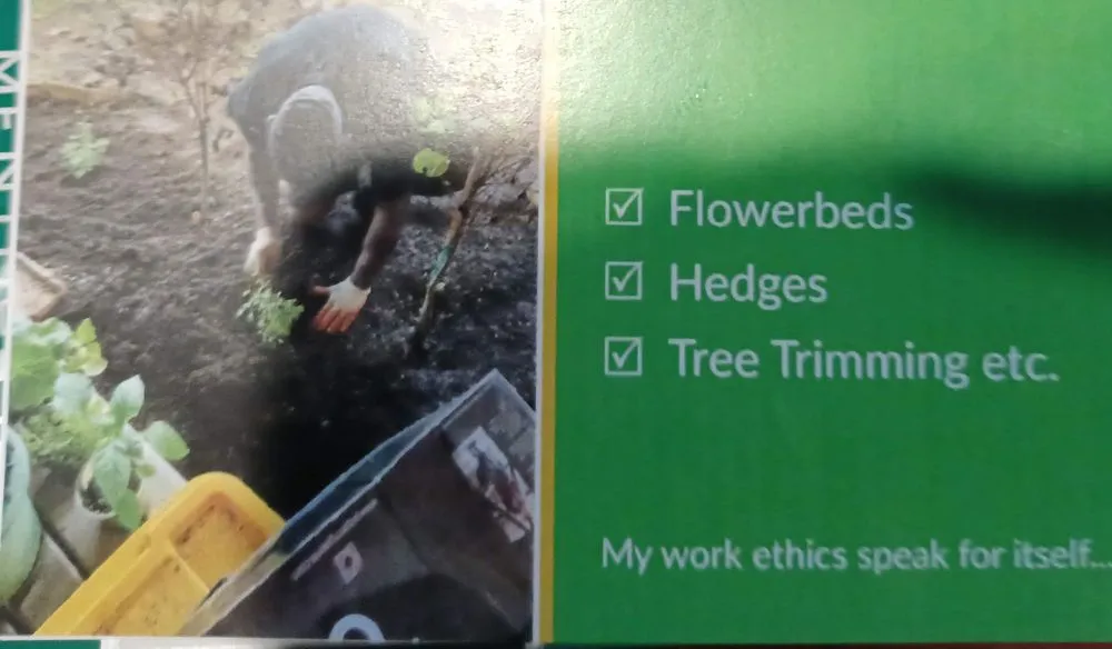 Expert yard maintenance experts serving Temple, TX - Go Hard Landscaping