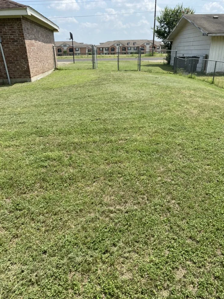 Trusted garden landscaping near you in Temple, TX by Go Hard Landscaping