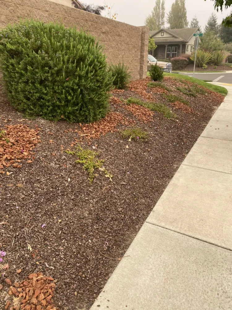 Reliable yard maintenance with custom design across Arroyo Grande, CA - G&O Landscape & Maintenance