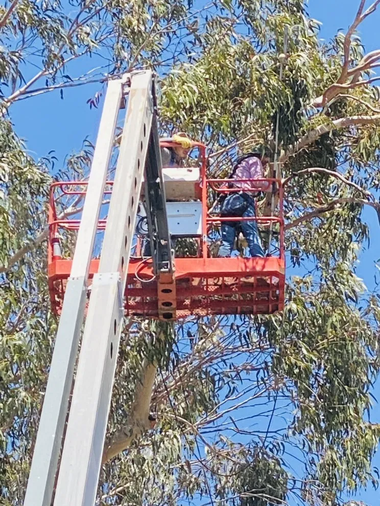 Professional lawn care service in Arroyo Grande, CA - G&O Landscape & Maintenance