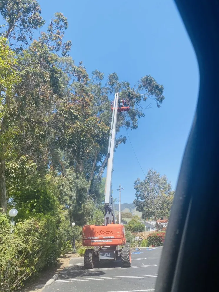 Professional residential landscaping in Arroyo Grande, CA - G&O Landscape & Maintenance