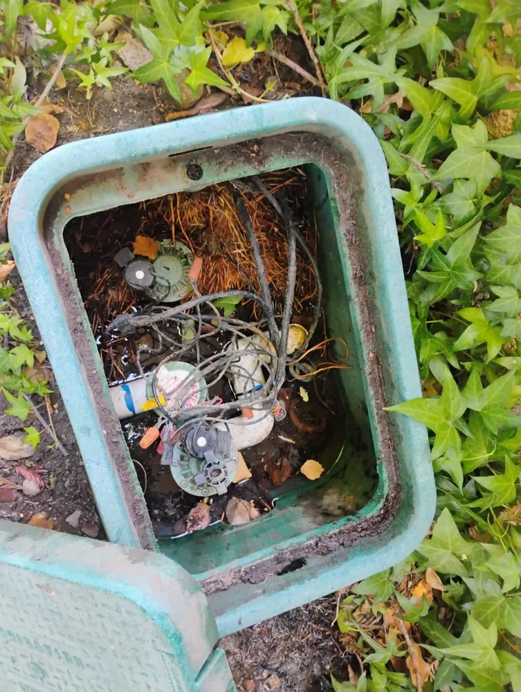 Expert garden landscaping in Concord, CA - G&O Lawncare Svs