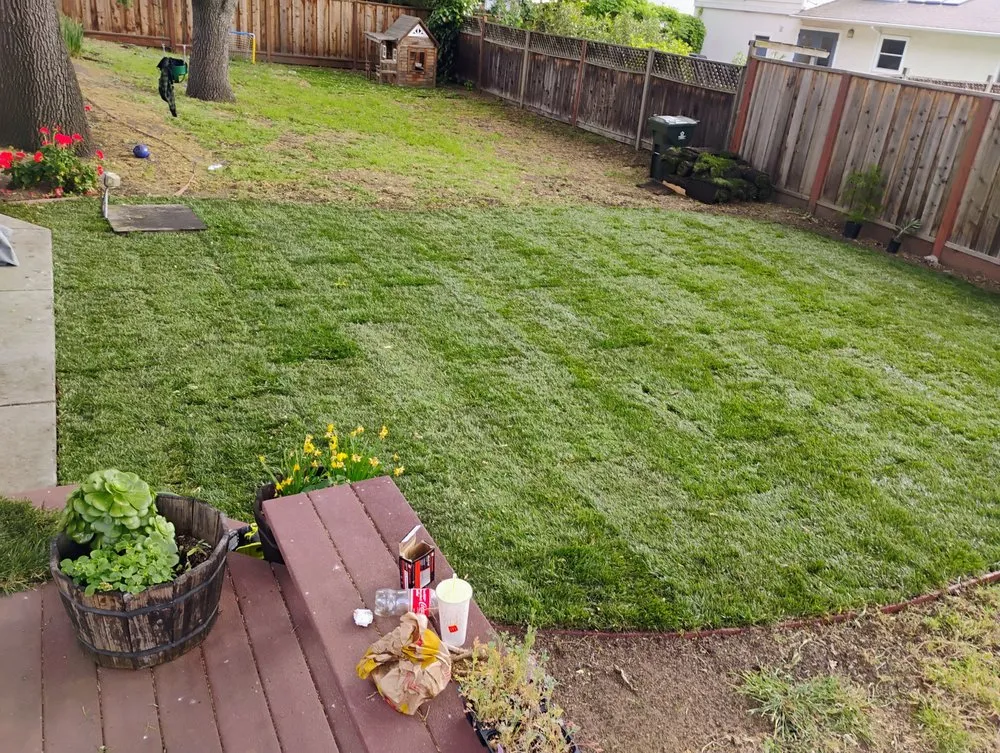 Trusted residential landscaping in Concord, CA - G&O Lawncare Svs