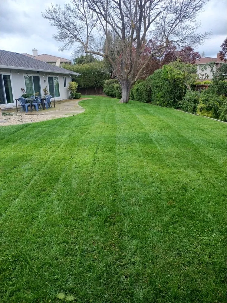 Affordable yard maintenance in Concord, CA - G&O Lawncare Svs