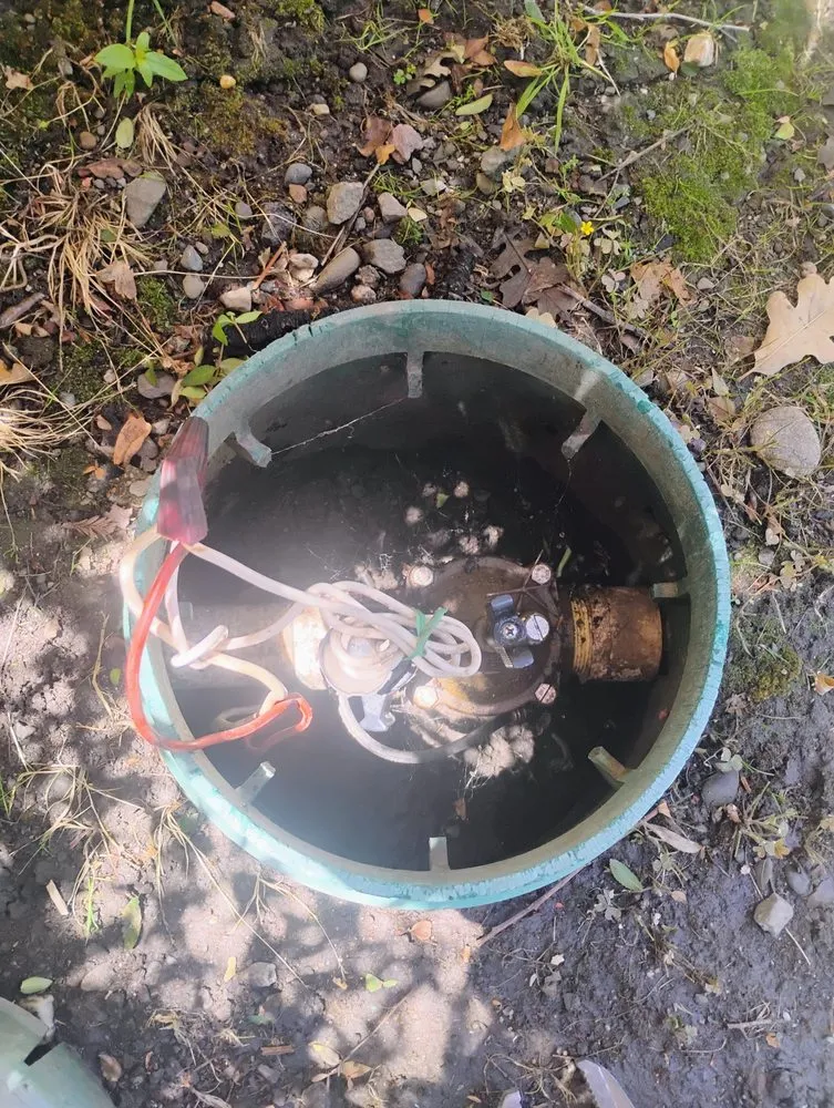 Top-rated lawn mowing service in Concord, CA - G&O Lawncare Svs