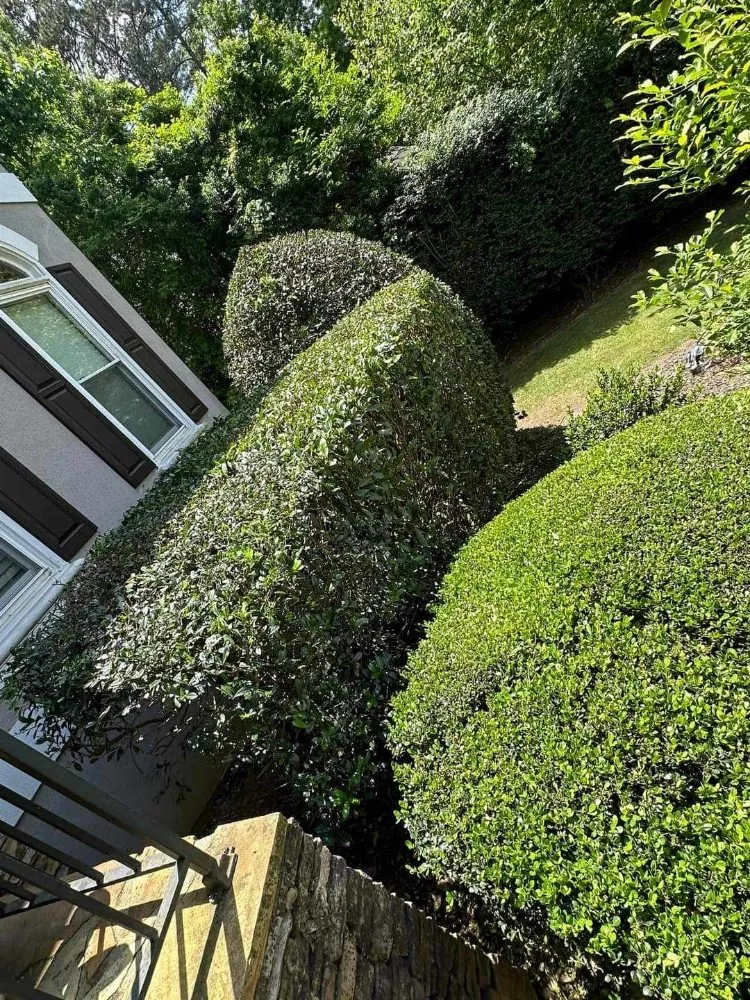 Expert landscape design for year-round maintenance across Bermuda Run, NC - Go Natural Landscaping