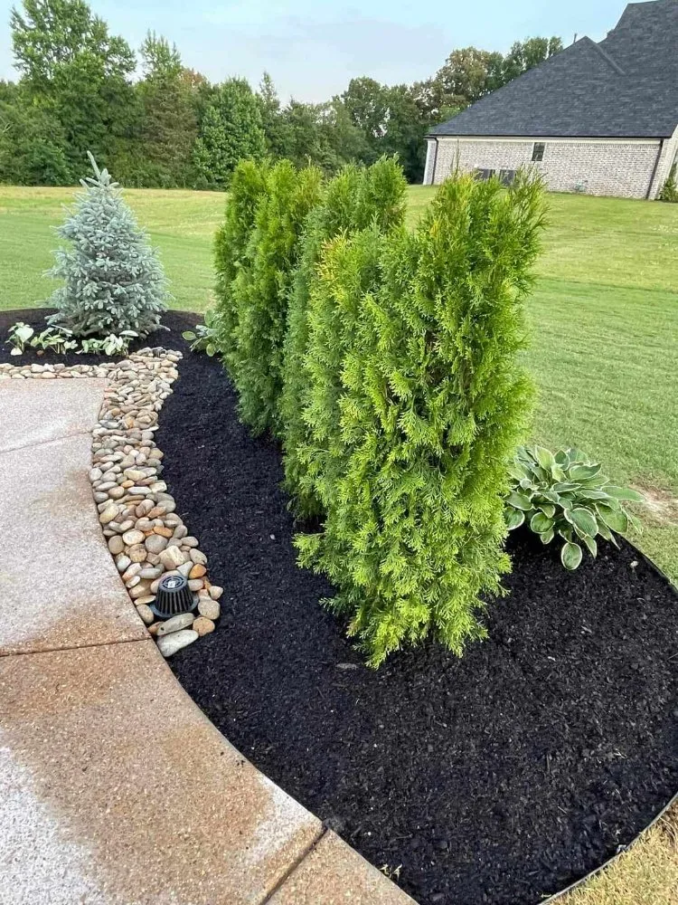 Trusted outdoor landscaping experts serving Bermuda Run, NC - Go Natural Landscaping