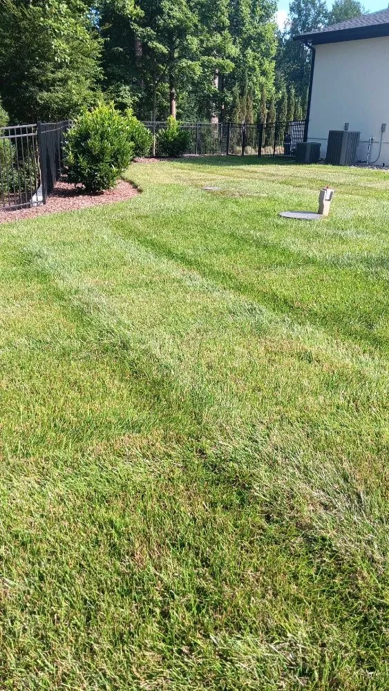 Local yard maintenance in Bermuda Run, NC - Go Natural Landscaping