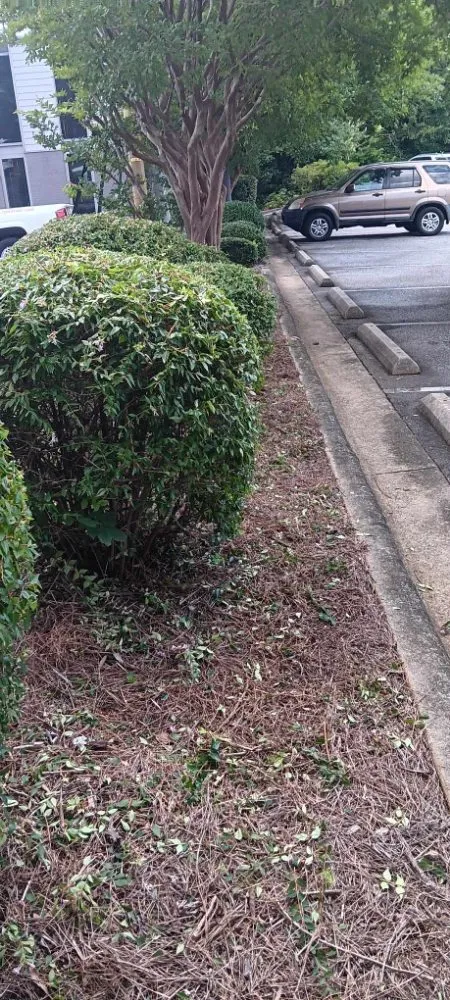Expert yard maintenance for residential properties across Bermuda Run, NC - Go Natural Landscaping