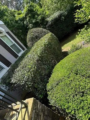 Go Natural Landscaping