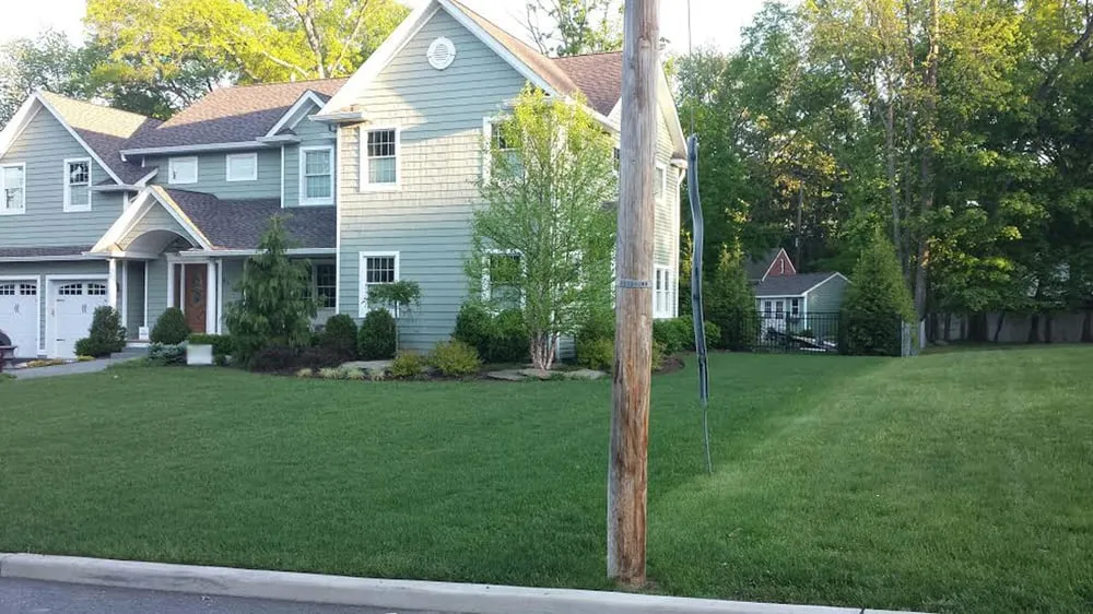 Custom yard cleanup service for outdoor upgrades in Oakland, NJ by Go Organic