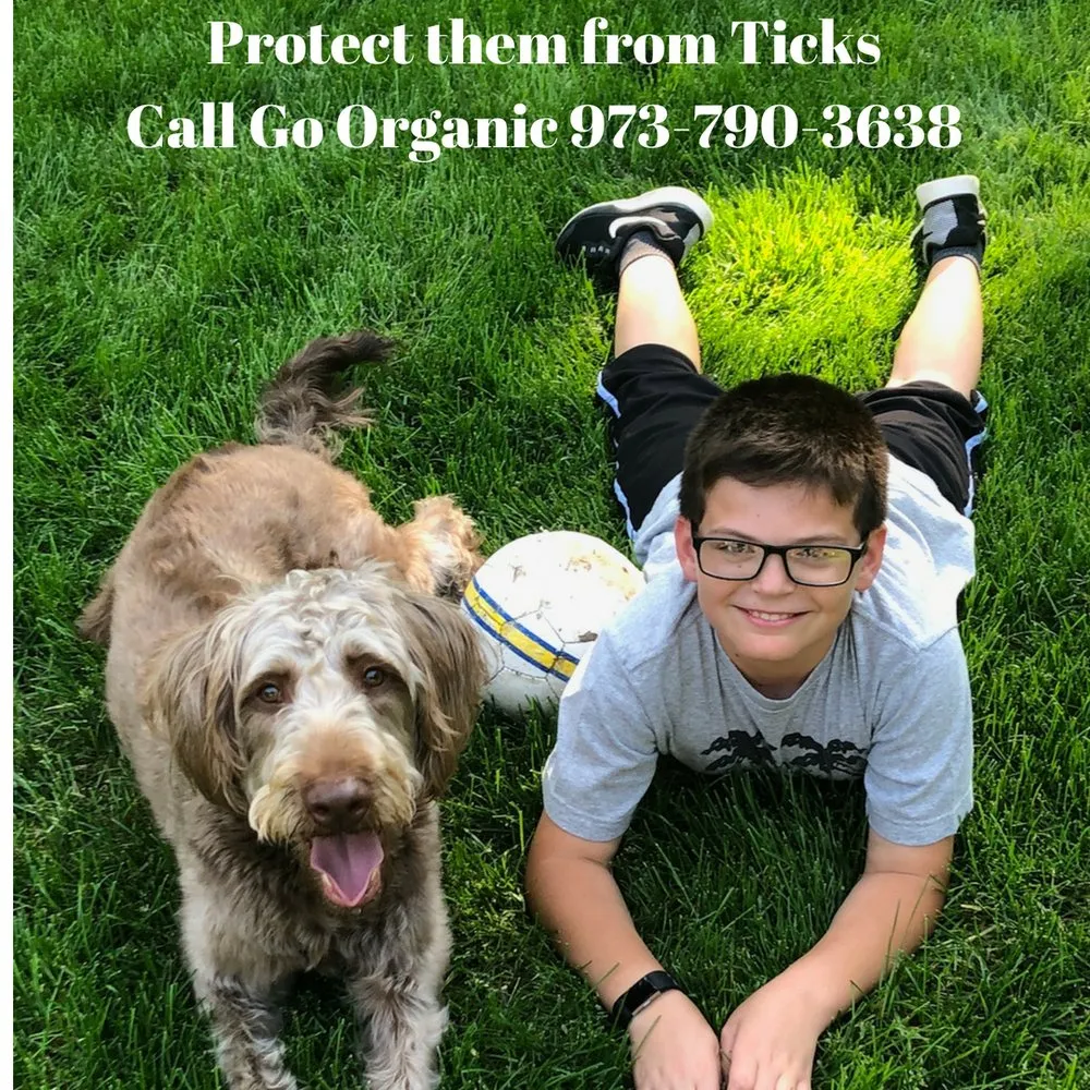 Expert yard cleanup service with custom design in Oakland, NJ by Go Organic