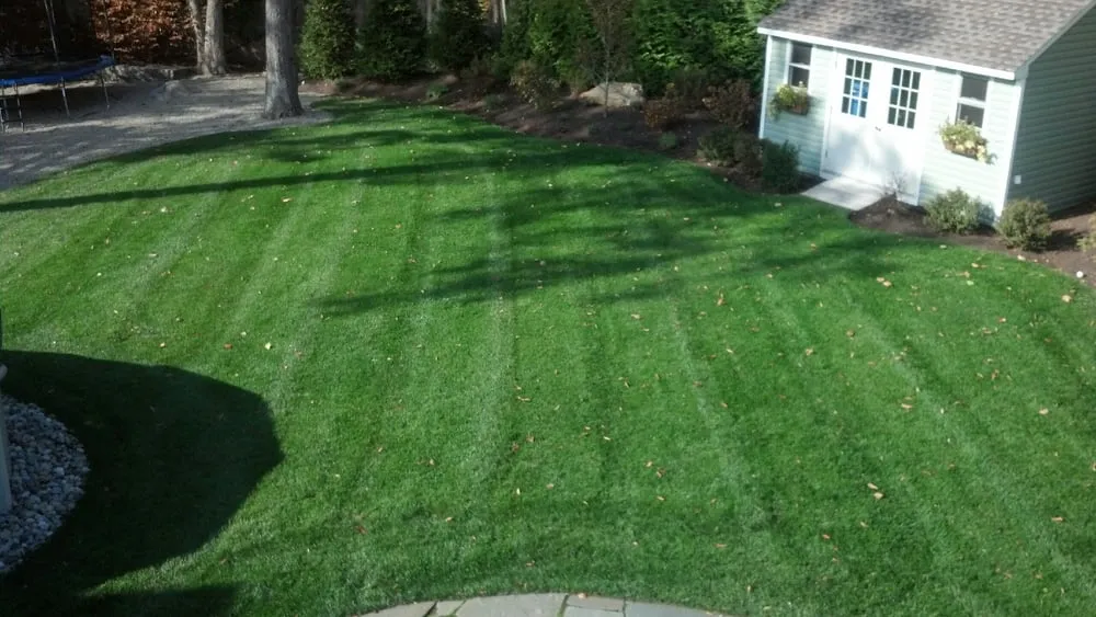 Expert lawn mowing service for outdoor upgrades across Oakland, NJ - Go Organic
