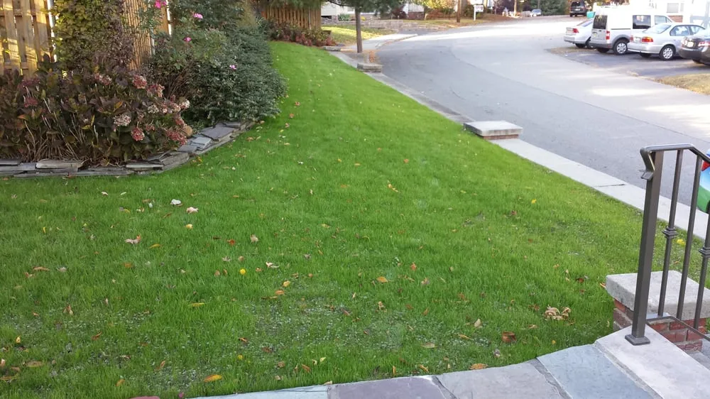 Local lawn mowing service in Oakland, NJ - Go Organic