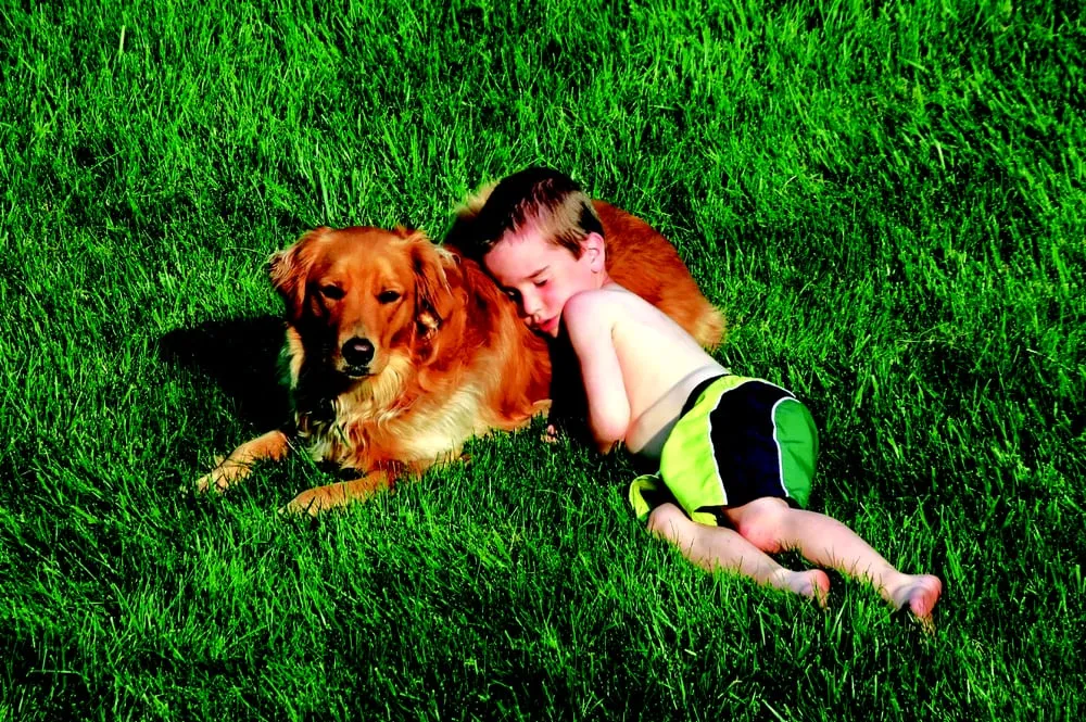 Trusted landscape design in Oakland, NJ by Go Organic