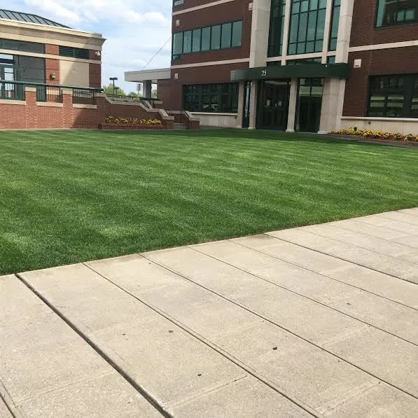 Expert landscape design in Oakland, NJ - Go Organic