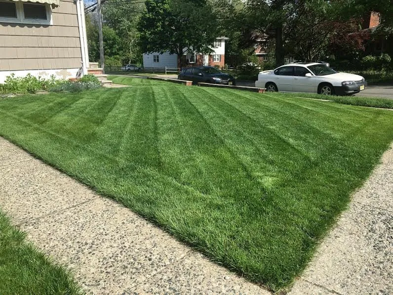 Professional lawn care service in Oakland, NJ - Go Organic