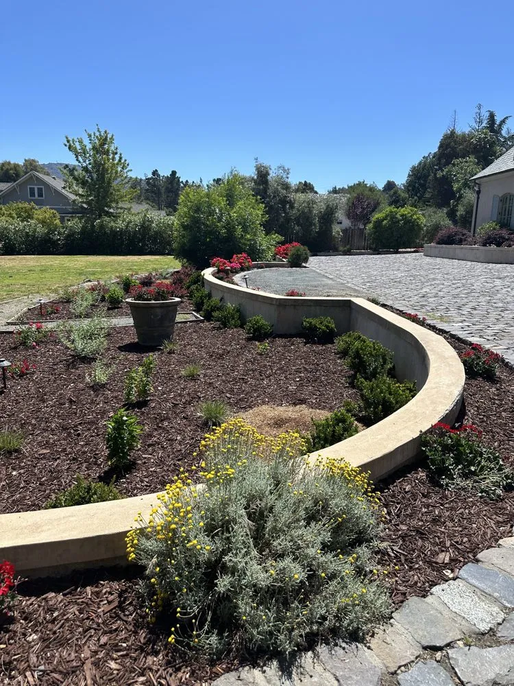 Affordable yard maintenance in San Jose, CA by Go Panorama Landscaping
