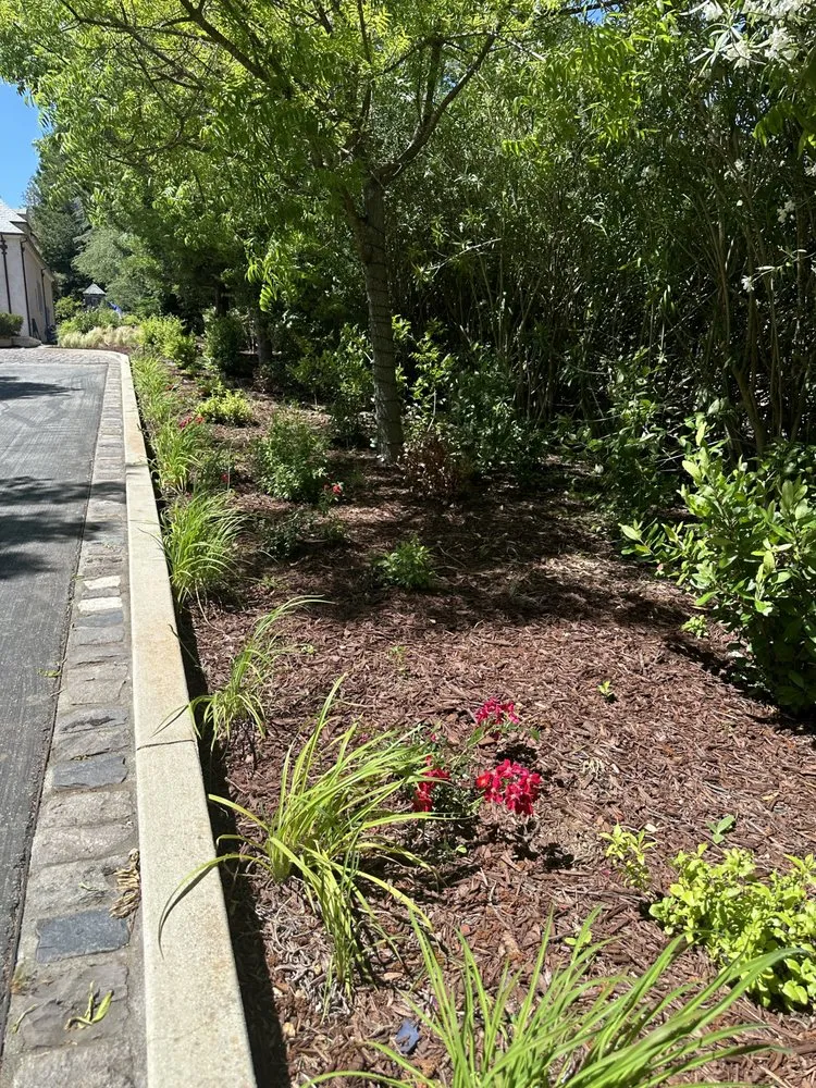 Top-rated landscape design in San Jose, CA by Go Panorama Landscaping