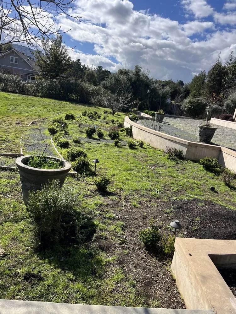 Local lawn care service for outdoor upgrades across San Jose, CA - Go Panorama Landscaping