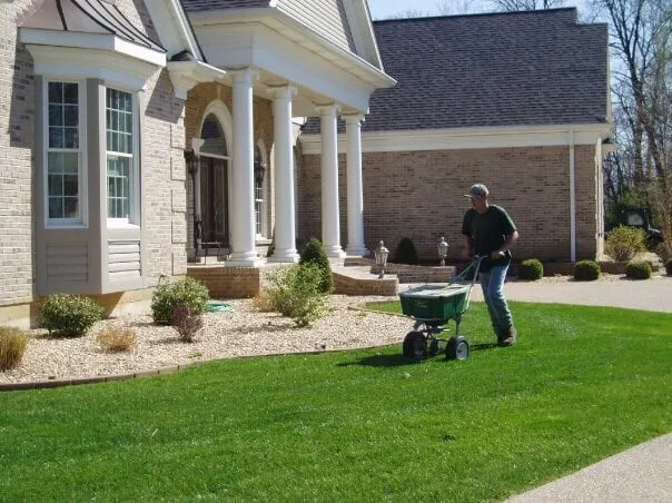 Local yard cleanup service in Saint Peters, MO - Go Pro Lawn Care