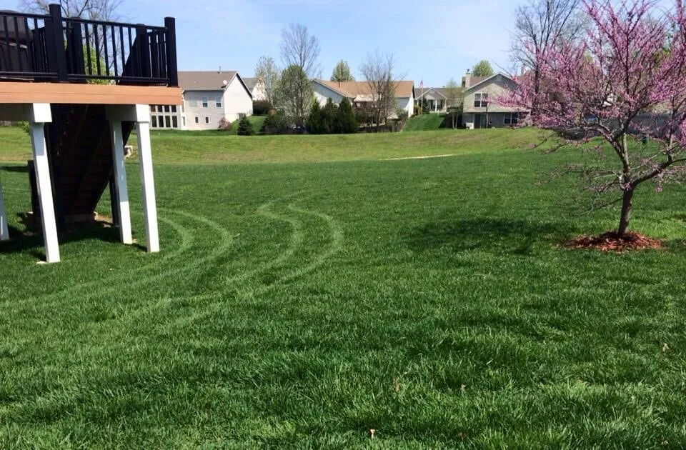 Top-rated landscaping services in Saint Peters, MO - Go Pro Lawn Care