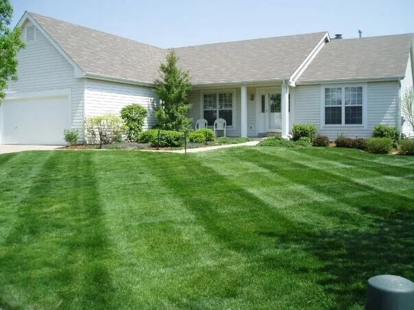 Professional garden landscaping experts serving Saint Peters, MO - Go Pro Lawn Care