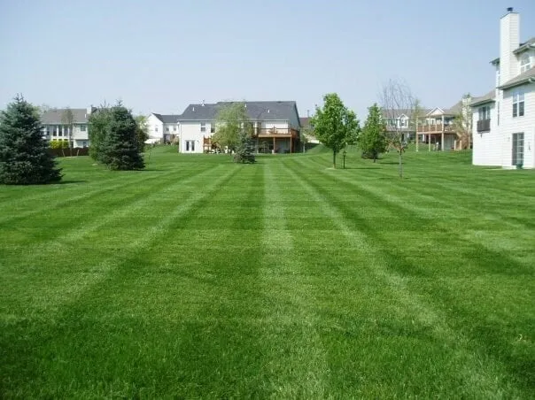 Professional outdoor landscaping for outdoor upgrades in Saint Peters, MO by Go Pro Lawn Care