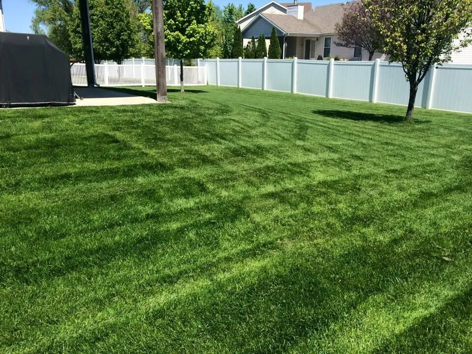 Expert outdoor landscaping for beautiful yards across Saint Peters, MO - Go Pro Lawn Care