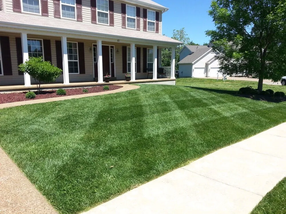 Top-rated yard cleanup service experts serving Saint Peters, MO - Go Pro Lawn Care