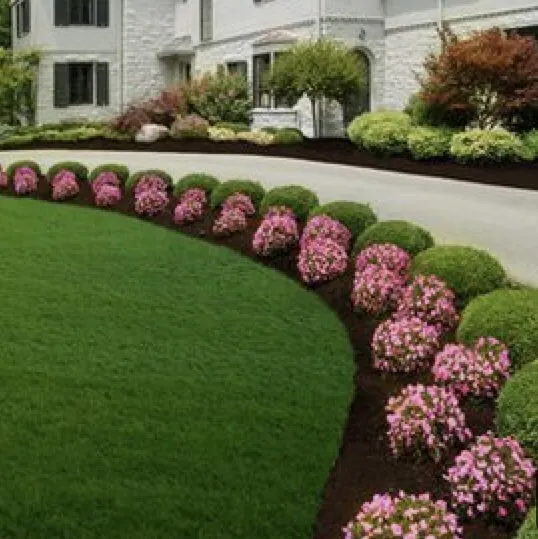 Top-rated yard cleanup service in Sachse, TX by Go Pro Lawns