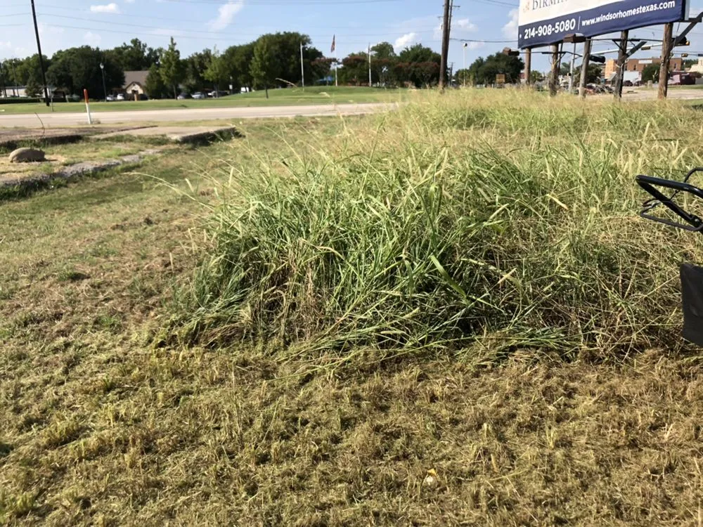 Affordable lawn mowing service experts serving Sachse, TX - Go Pro Lawns