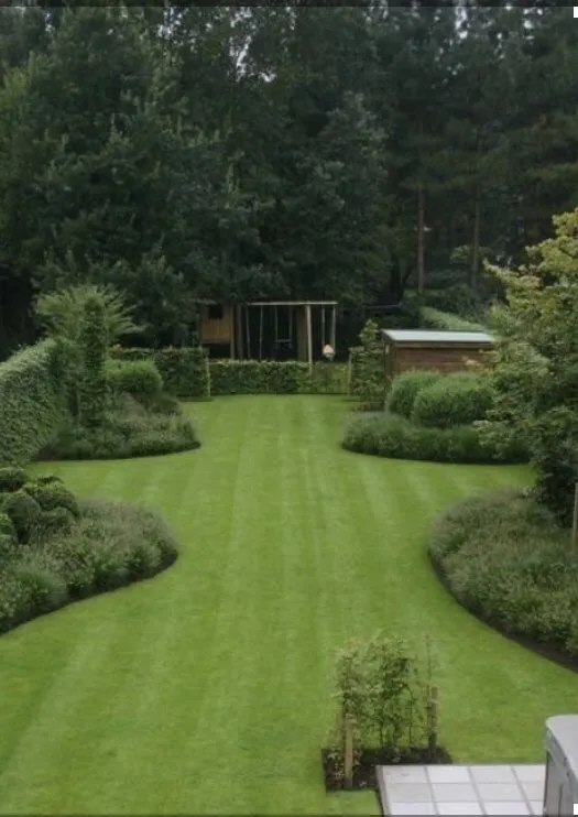 Professional landscape design in Sachse, TX by Go Pro Lawns