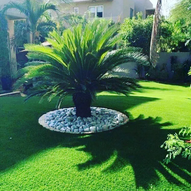 Local landscape installation for homes across Sachse, TX - Go Pro Lawns