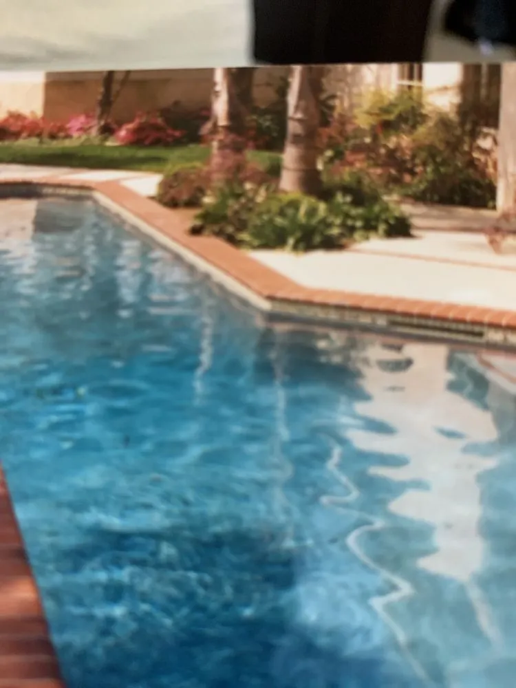 Trusted yard cleanup service for beautiful yards across Corona, CA - Go Rhino