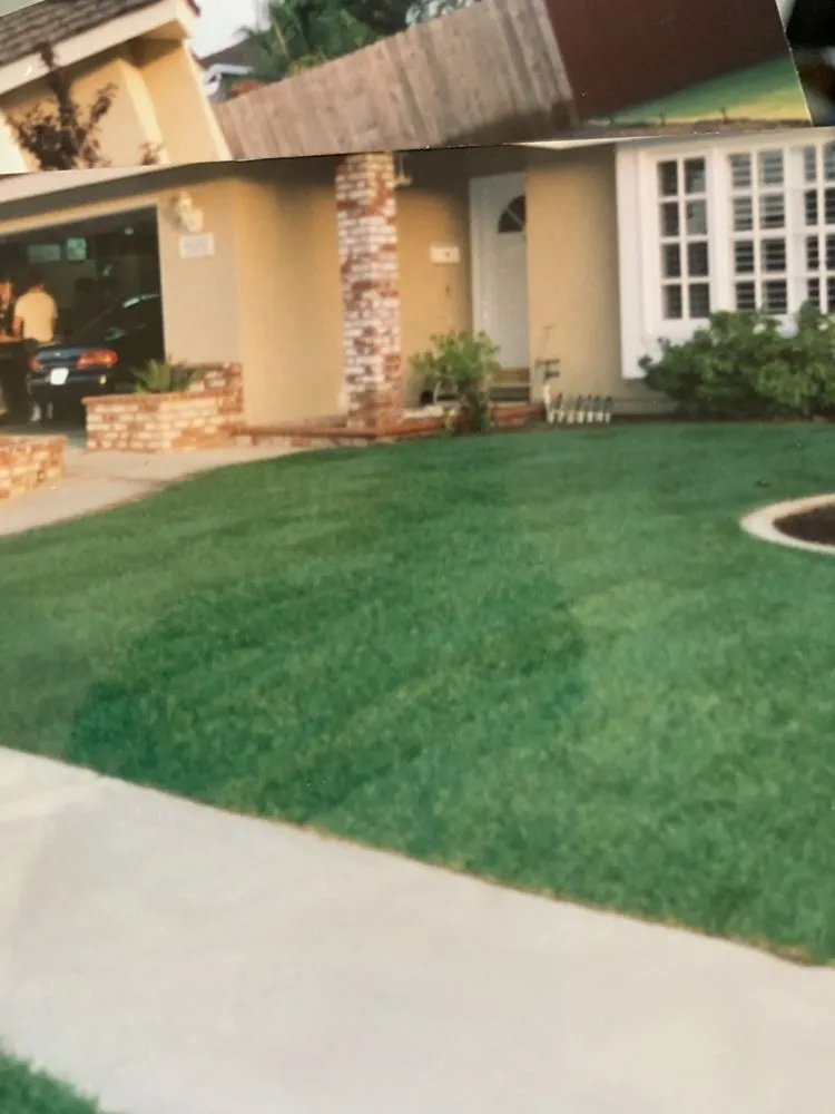 Trusted lawn mowing service in Corona, CA - Go Rhino