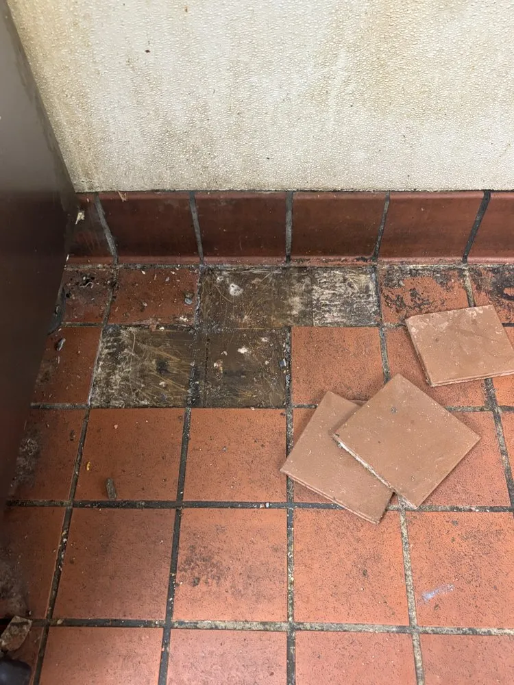 Affordable lawn mowing service in Greensboro, NC - Go To Guys