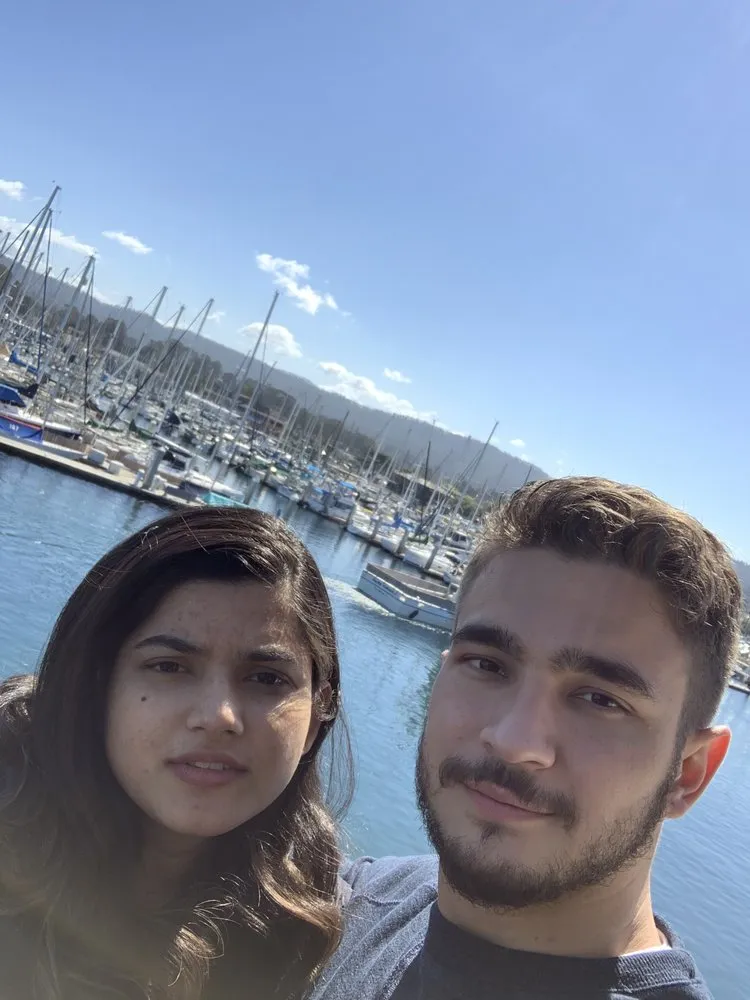 Affordable landscape installation for beautiful yards in Sacramento, CA by Go Tree Toppers