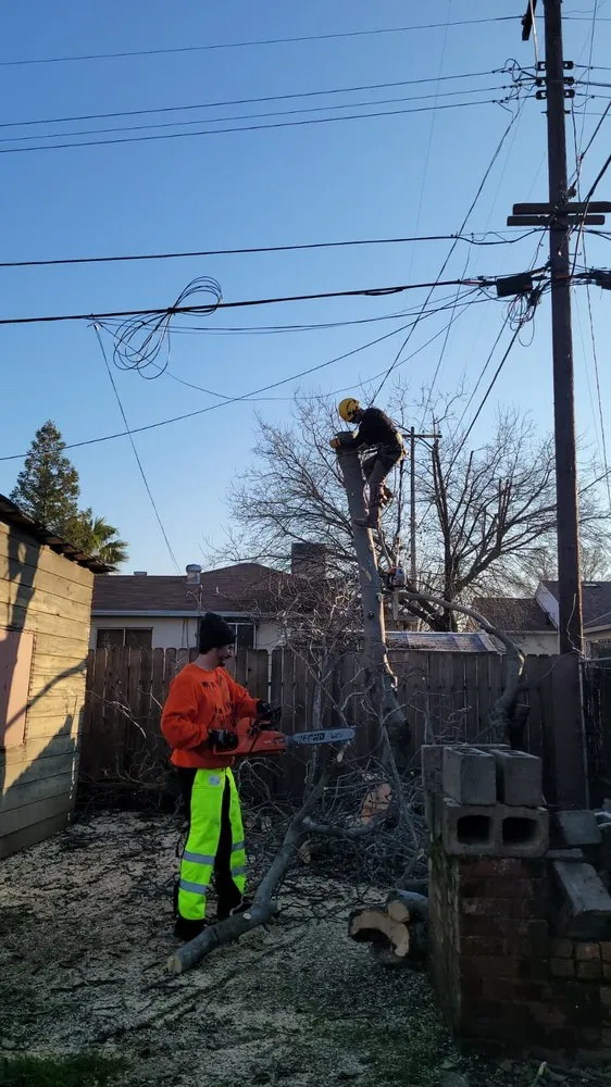 Trusted lawn mowing service in Sacramento, CA by Go Tree Toppers