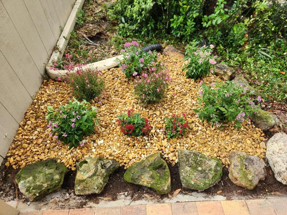 Top-rated landscape design in Orlando, FL by Go with the Flow Drainage & Landscaping