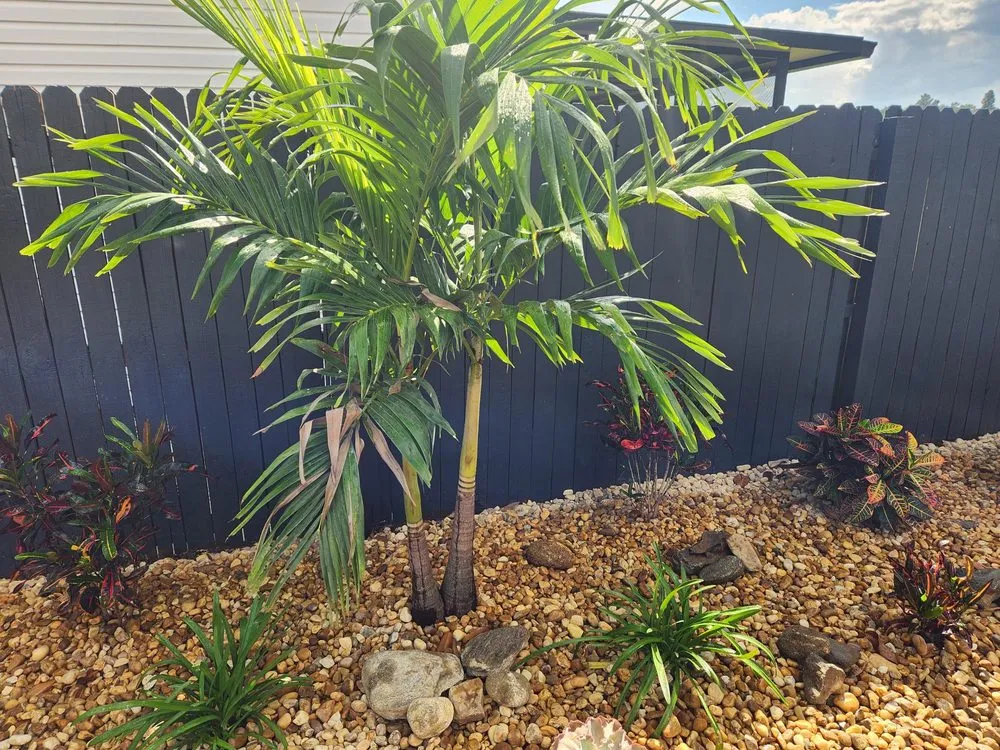 Reliable garden landscaping in Orlando, FL by Go with the Flow Drainage & Landscaping