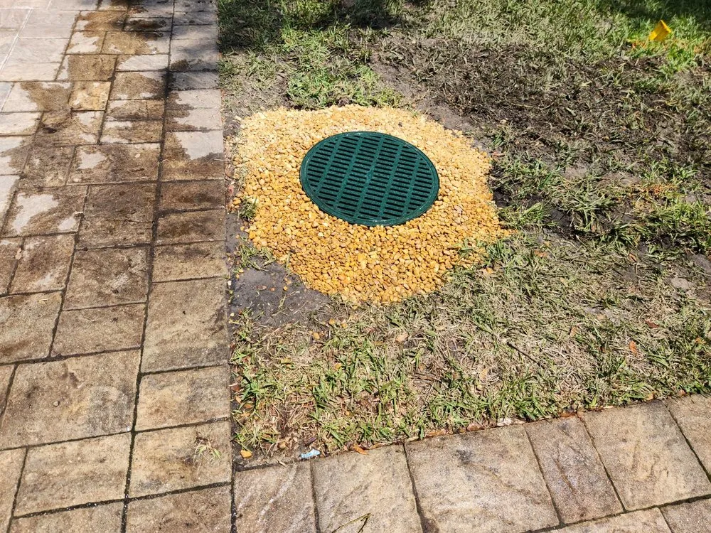 Local yard cleanup service experts serving Orlando, FL - Go with the Flow Drainage & Landscaping