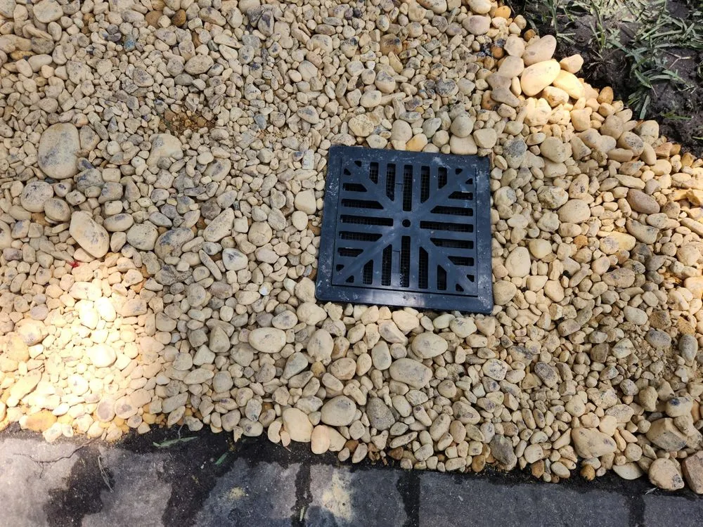 Professional landscape design for year-round maintenance across Orlando, FL - Go with the Flow Drainage & Landscaping