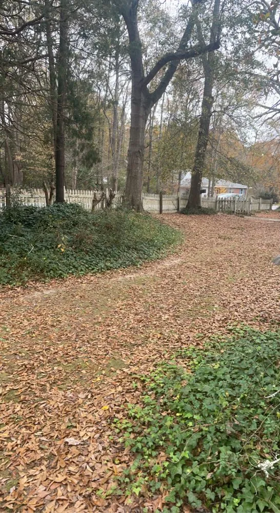 Affordable outdoor landscaping for outdoor upgrades across Fountain Inn, SC - Goat And Son Landscaping